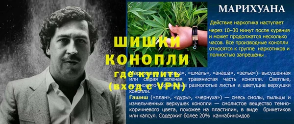 твердый Володарск