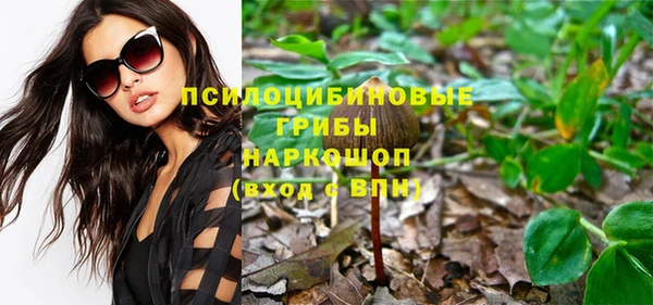 твердый Володарск