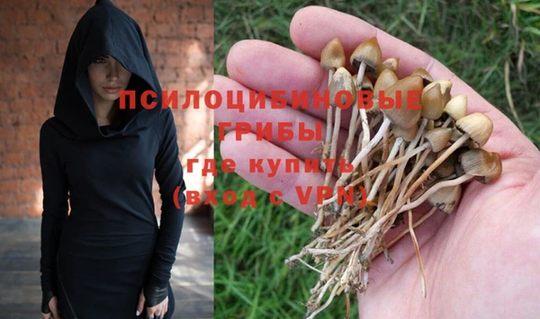 твердый Володарск